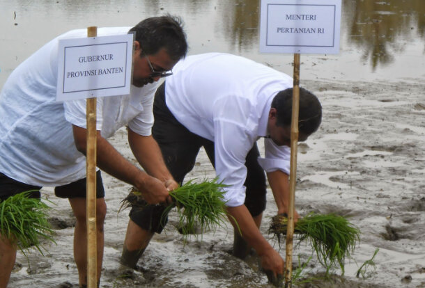 Menko Perekonomian dan Mentan Canangkan Gerakan Tanam Serempak di Tangerang 